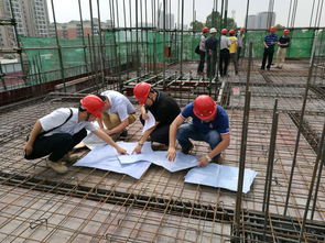 市住建局率隊對區2015年政府保障性住房建設工程進行檢查