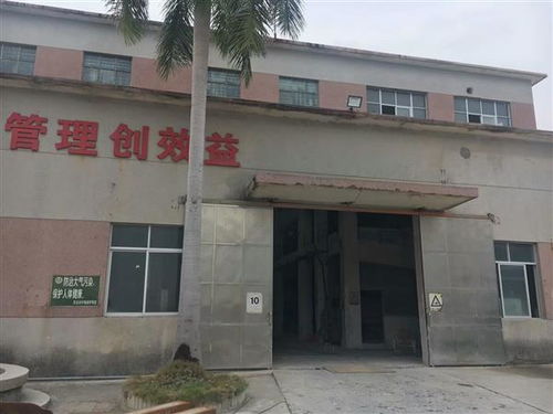 隴南市建筑房屋安全檢測怎么收費 隴南新聞