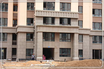 笨笨看房記:南嶺國際2期工程進度實探